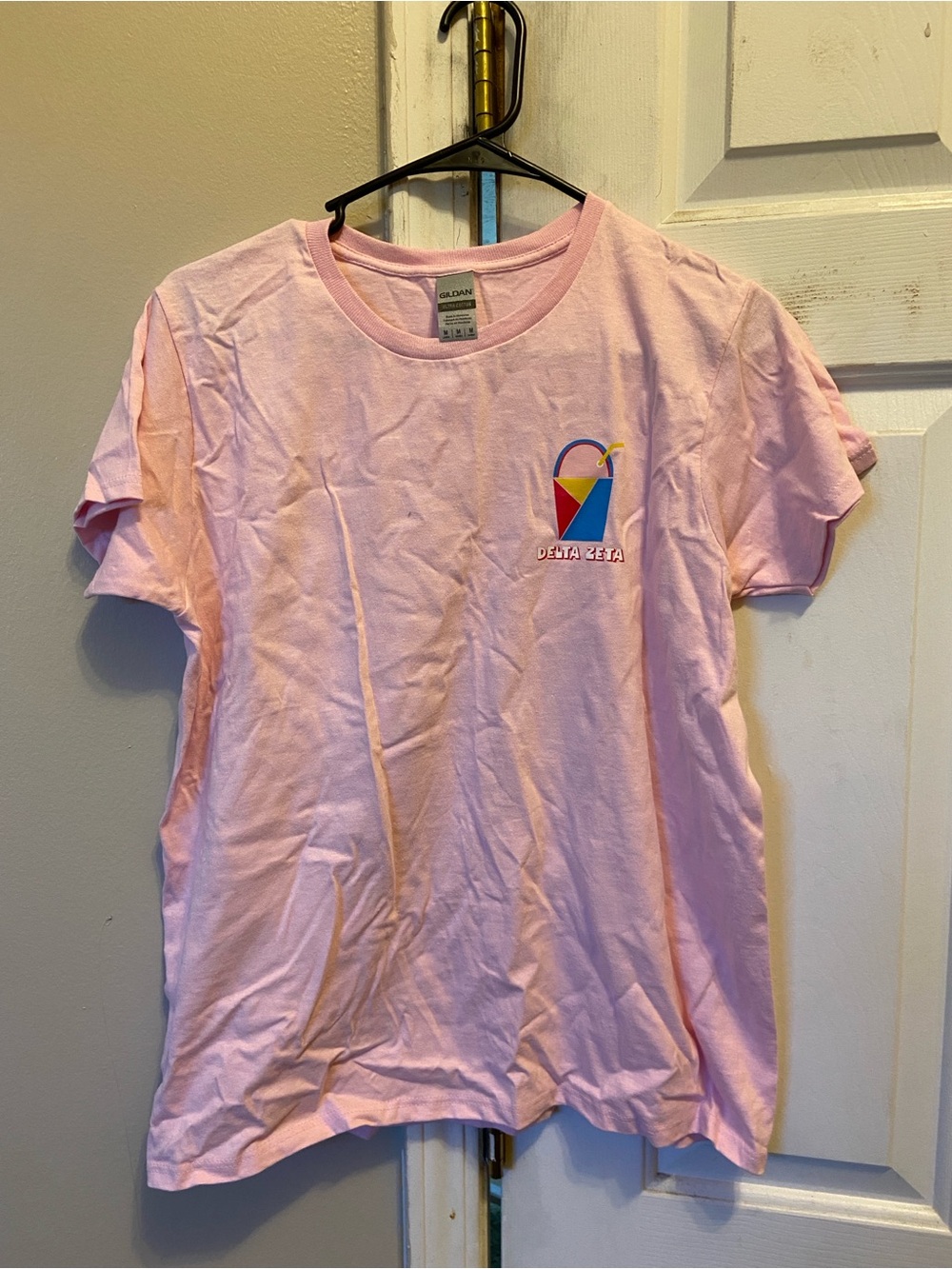 Light Pink Delta Zeta Sorority Gildan Tee with Multicolored Logo